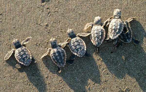 fort lauderdale things to do