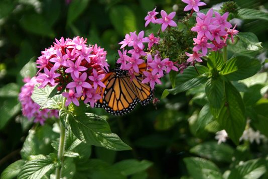 road trips from miami