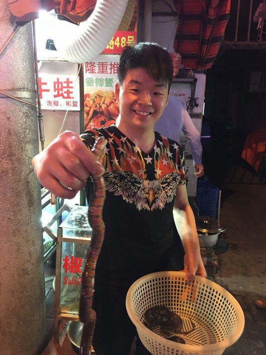 china-snake