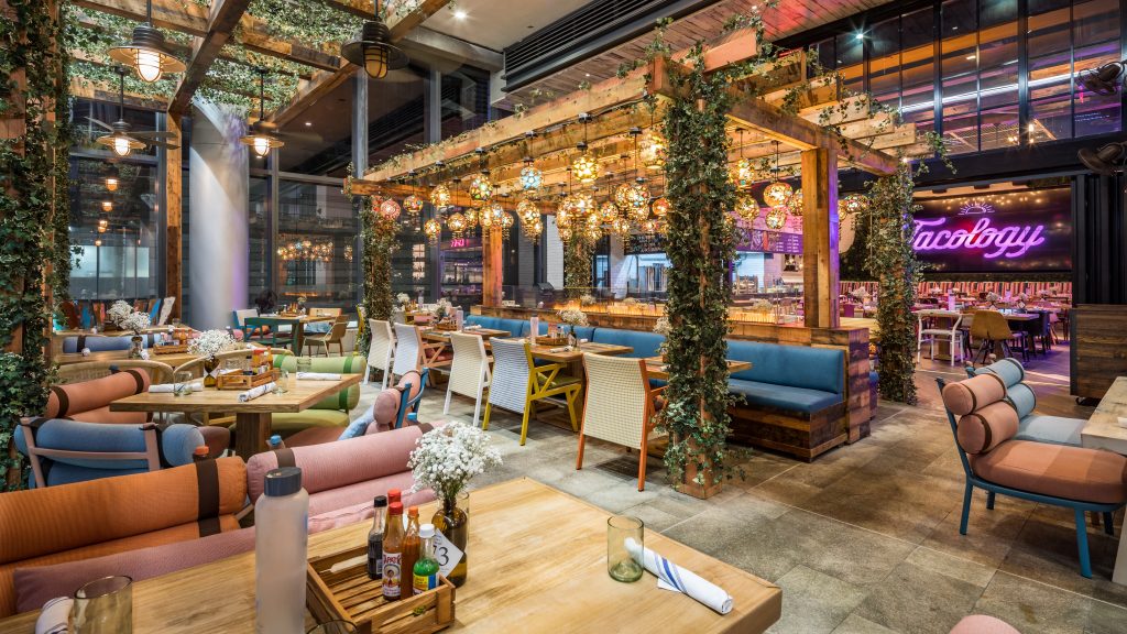 tacology, miamicurated