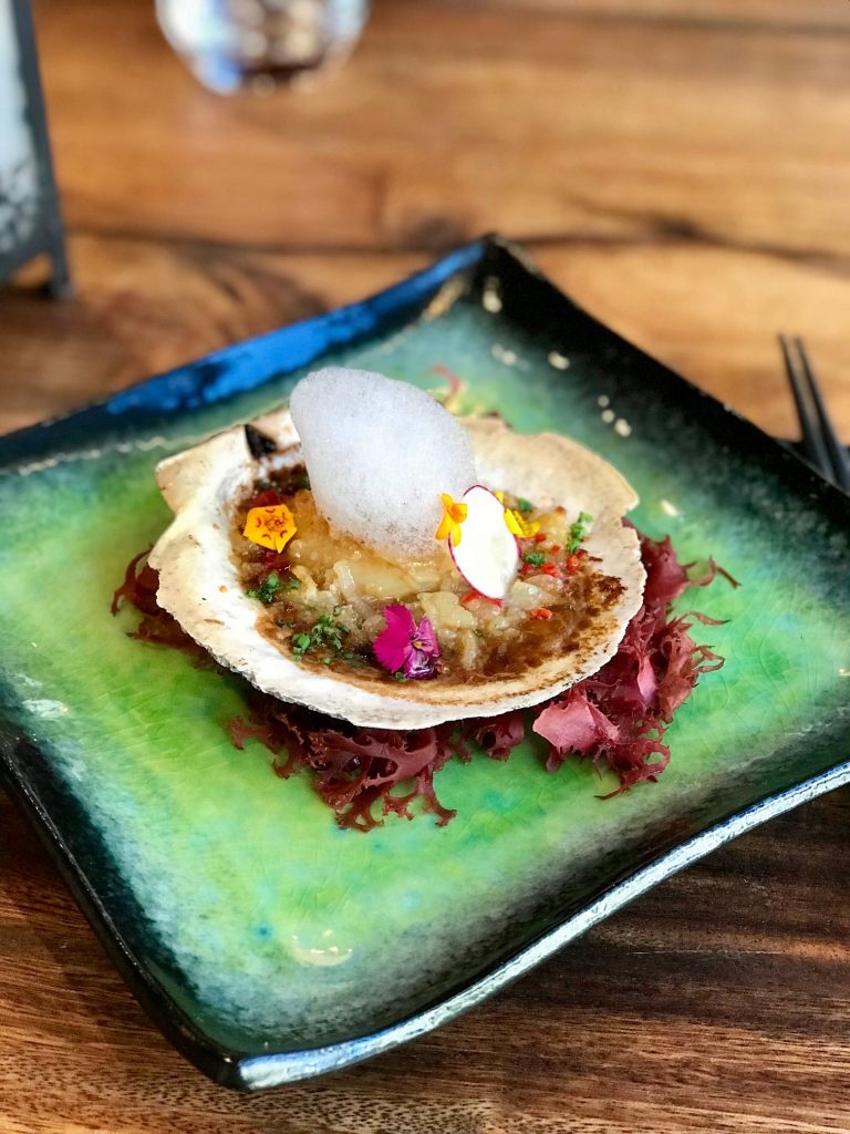 best new restaurants miami, miami best new restaurants, MiamiCurated