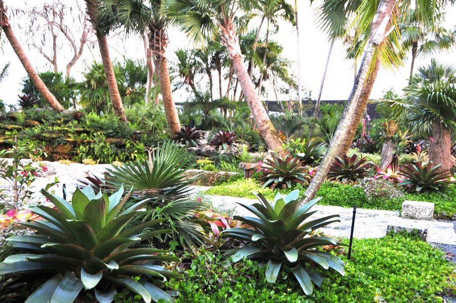 miami garden tours, MiamiCurated