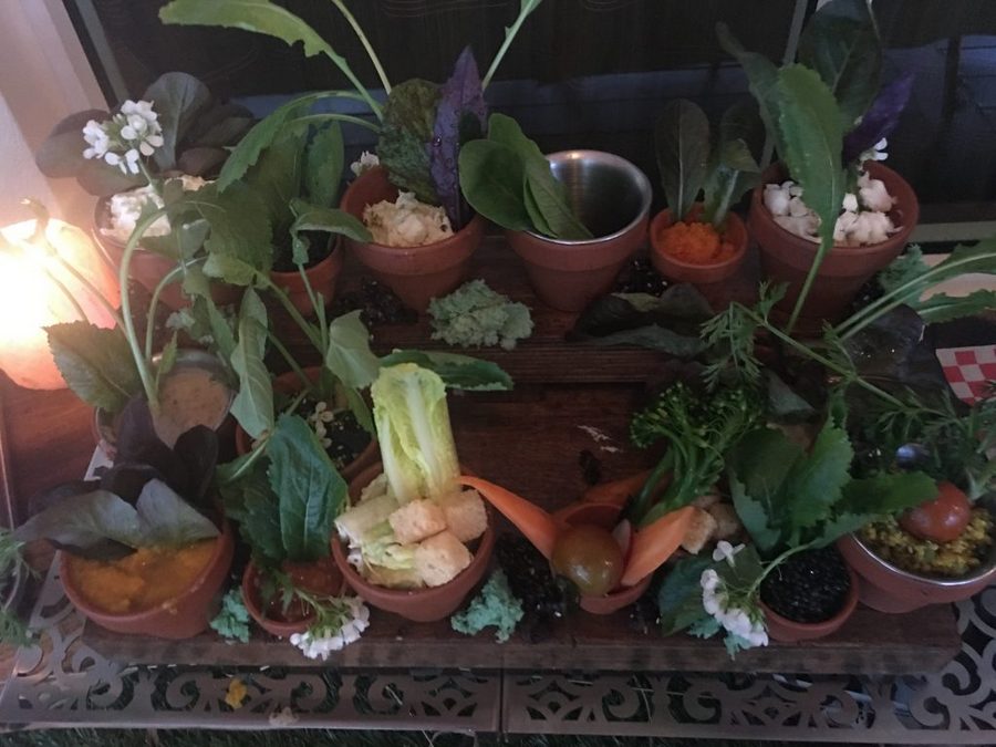Deconstructed garden salad, fun South Beach restaurants, Barton G pictures, Barton G, MiamiCurated
