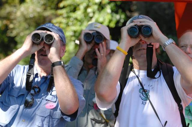 miami events february, birding miami, MiamiCurated