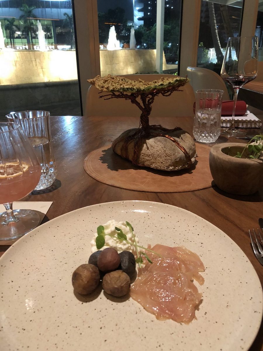 elcielo miami, MiamiCurated