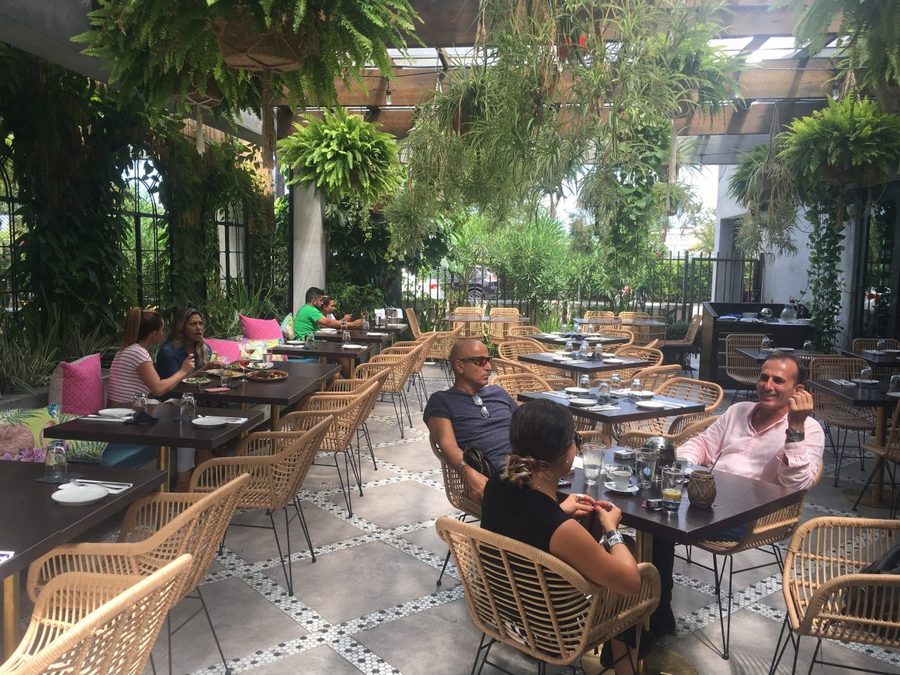 upper buena vista restaurants, Vista Miami, Vista restaurant, MiamiCurated