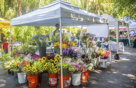 farmers market pinecrest, miami farmers markets, miamicurated