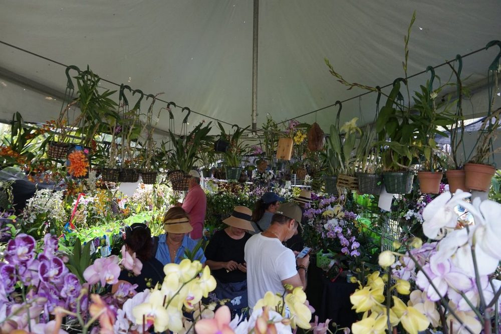 spring garden festival Miami, plant tour Miami, Miami events, garden festivals Miami