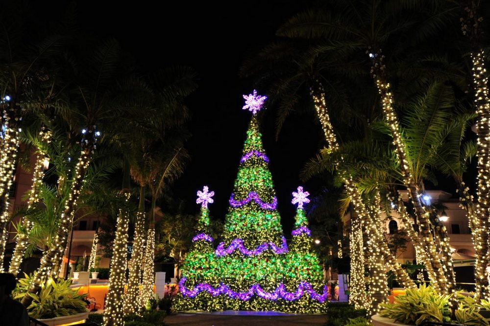 christmas lights miami, MiamiCurated