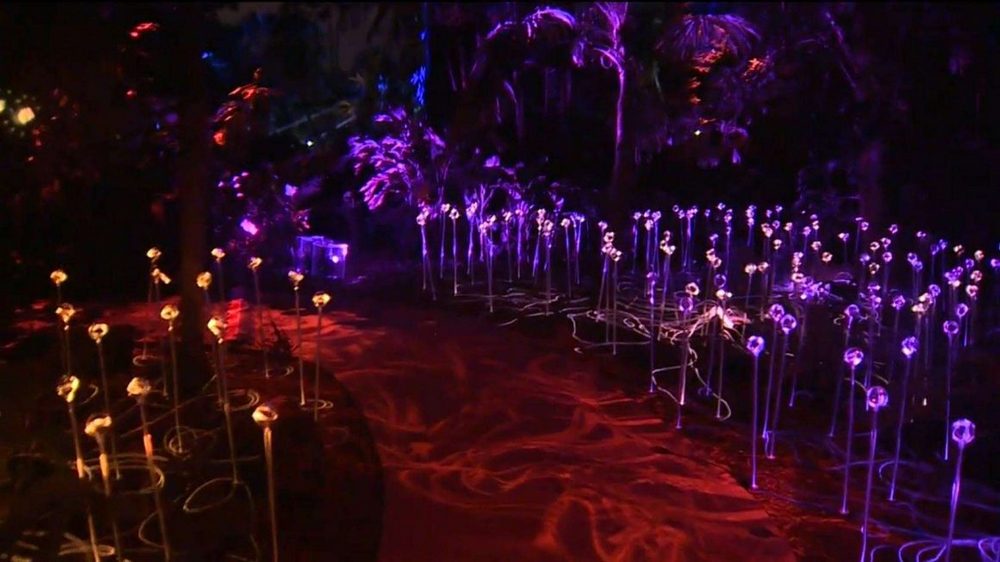 Nightgarden at Fairchild Tropical Botanic Garden, christmas lights miami, christmas lights miami 2019