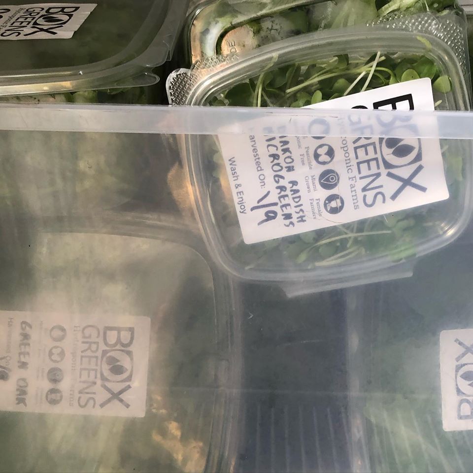 farmers markets in miami selling greens, MiamiCurated