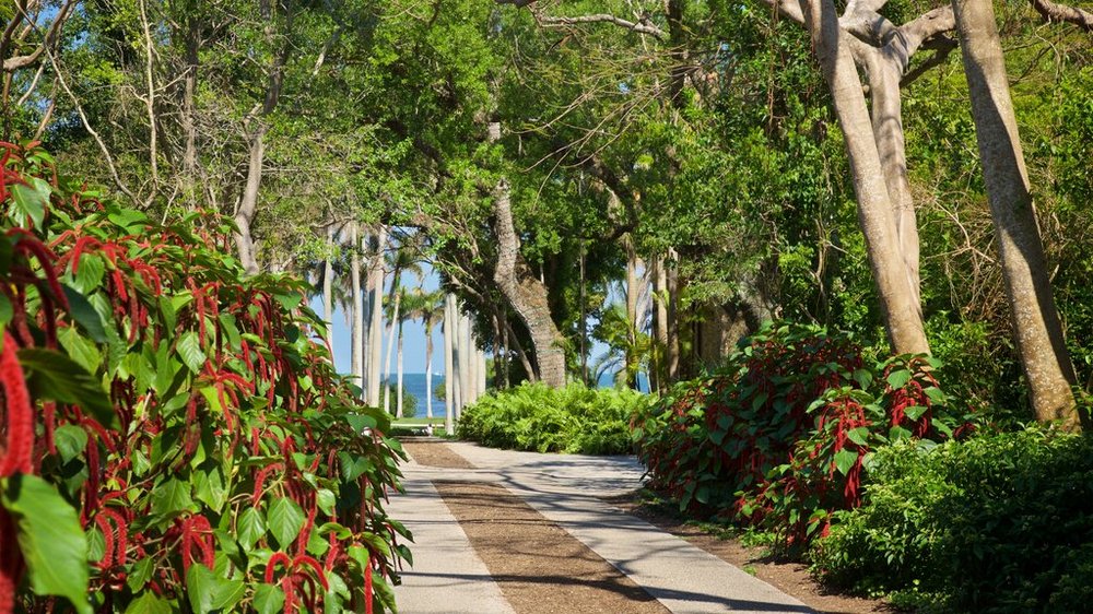 botanical gardens in miami, miamicurated