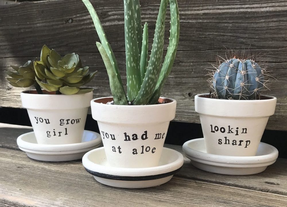 Where to buy pots, artisanal pots, MiamiCurated