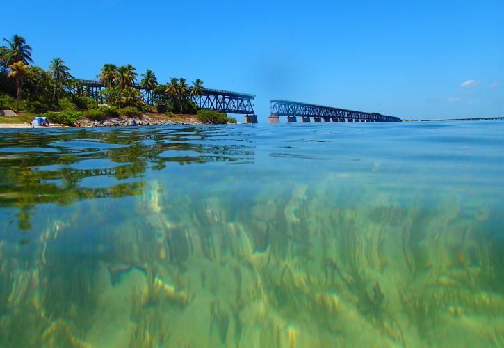 what's new to do in the florida keys, Miamicurated