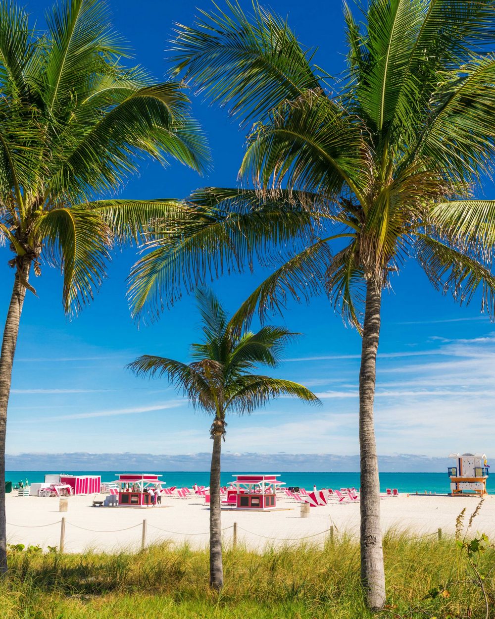 SLS South Beach Day Pass: My Experience and Options: MiamiCurated