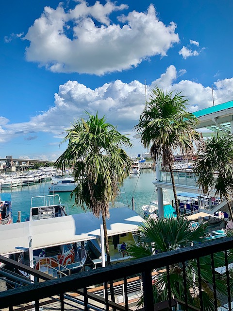 Zuma Waterfront Restaurant Boat Dock, Downtown Miami