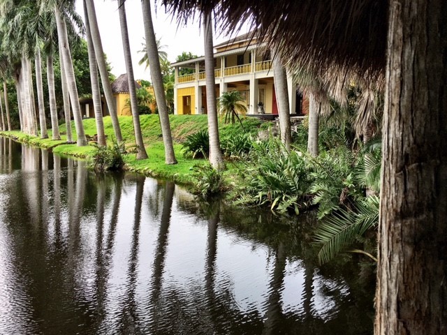 gardens in south florida, miamicurated