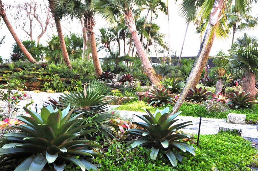 nurseries in south florida, miamicurated