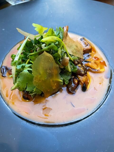 jatto miami, miamicurated