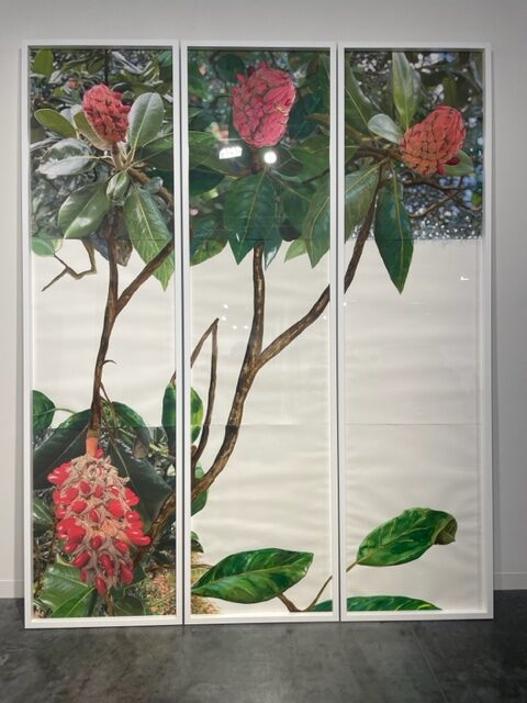 miami art week 2022, miamicurated