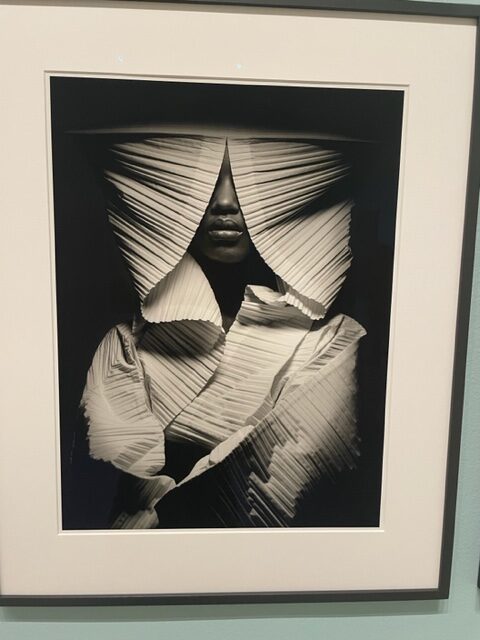 Palm Beach Museums, MiamiCurated
