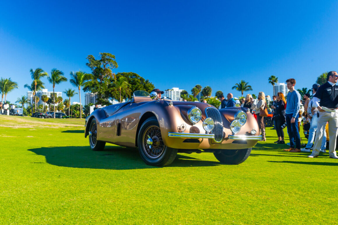concours d'elegance, MiamiCurated