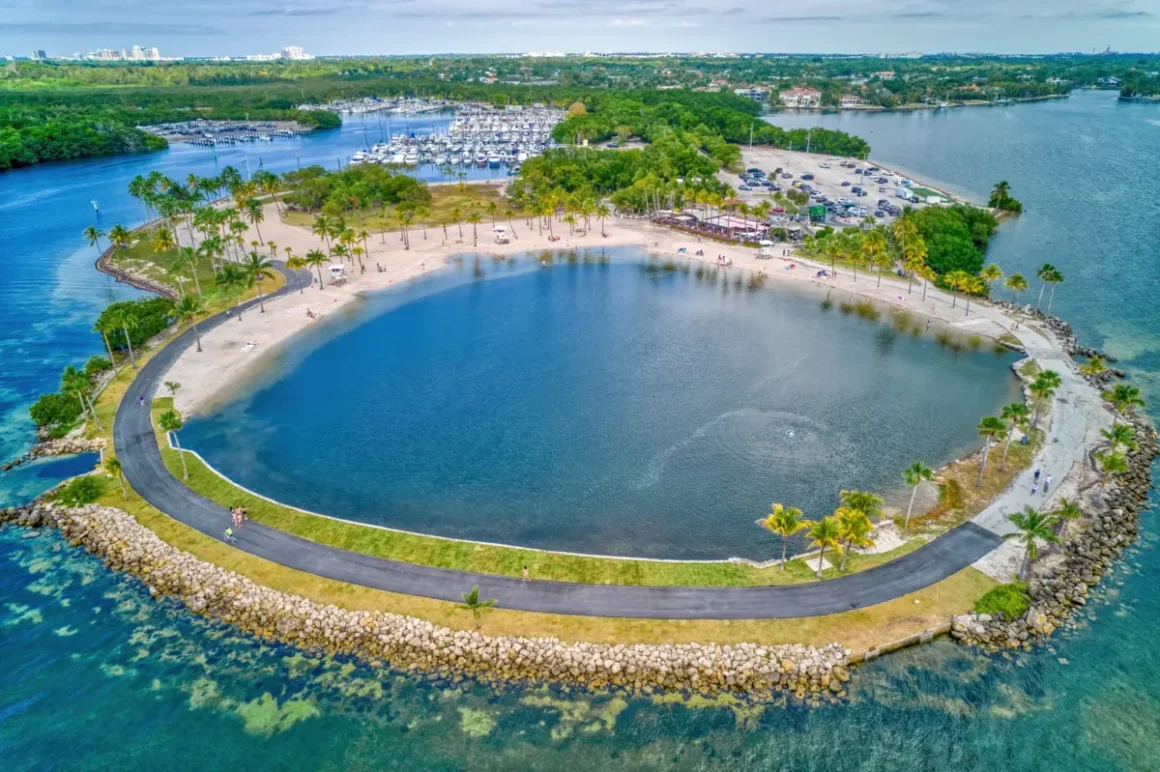family things to do in Miami, miamicurated