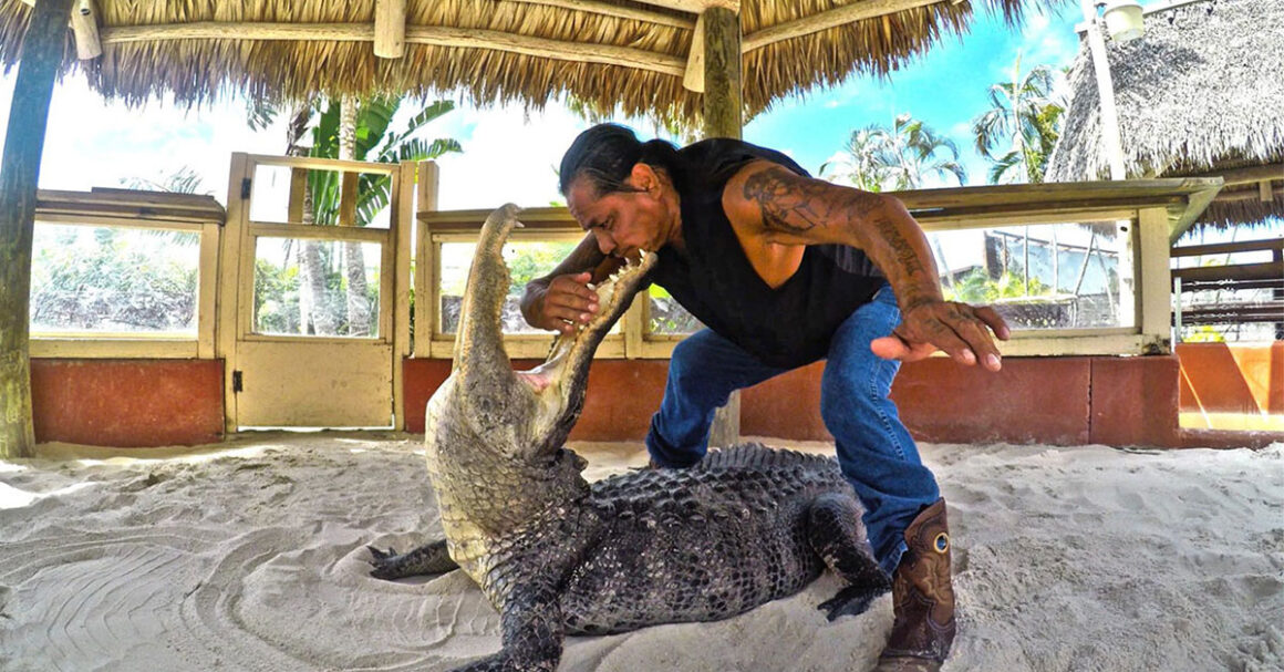 family things to do in Miami, miamicurated