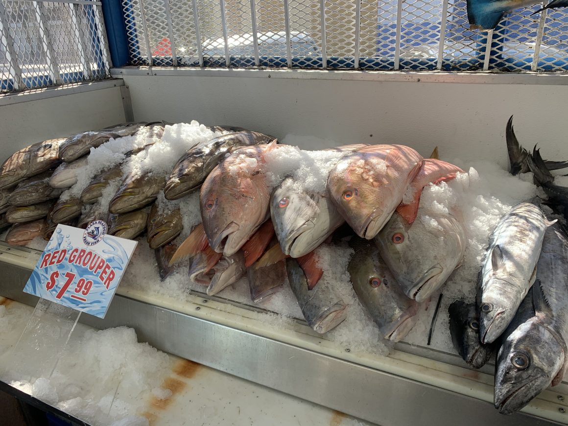 Allapattah Miami, Plaza Seafood Market, MiamiCurated