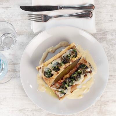 semilla miami, miamicurated