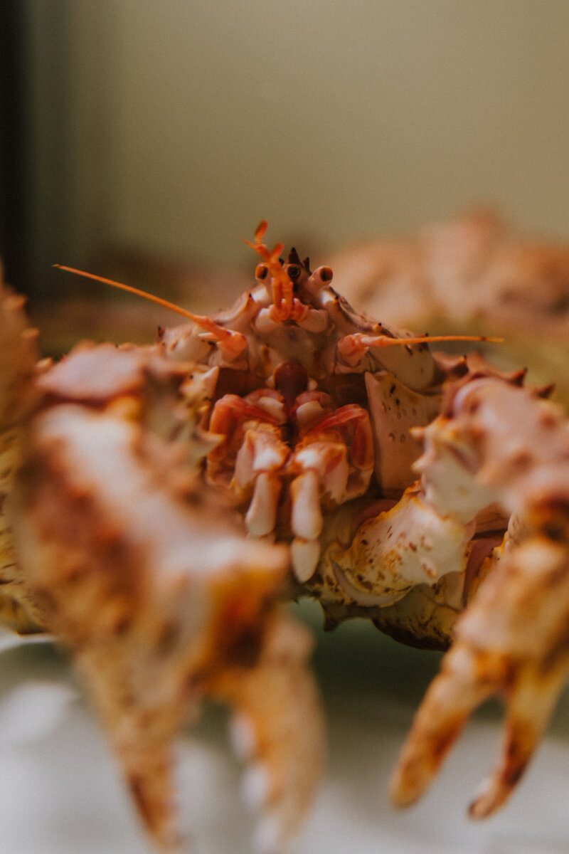 seafood restaurants in downtown Miami, Miamicurated