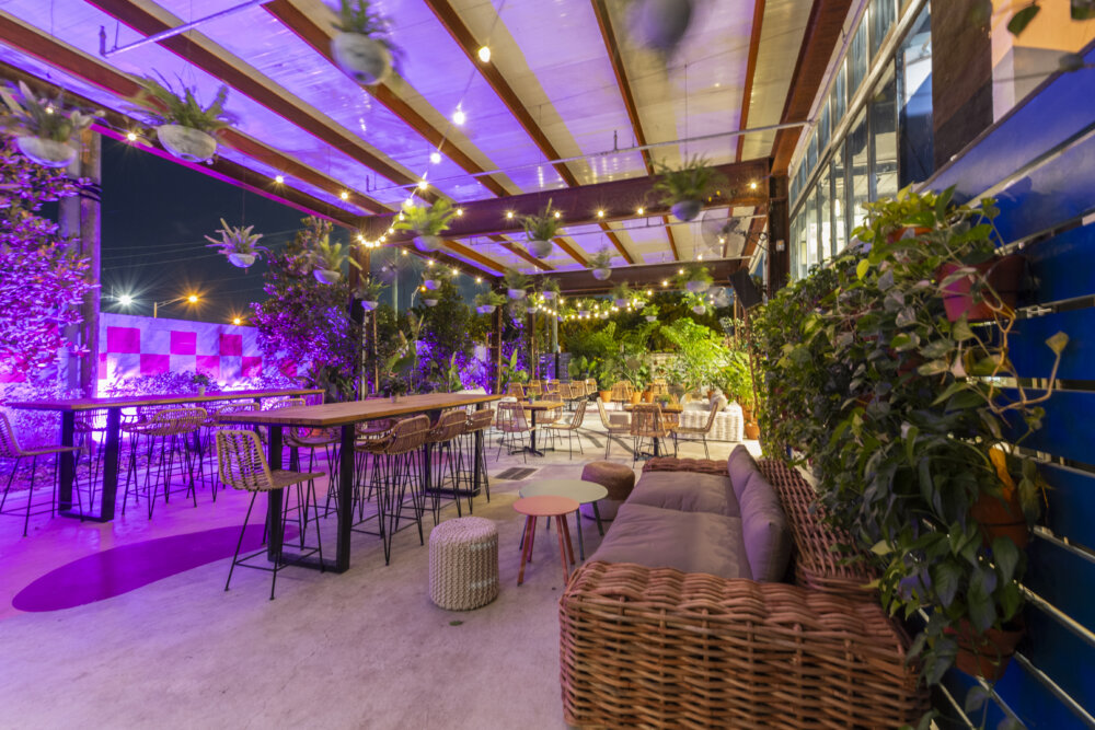 new restaurants miami, miamicurated