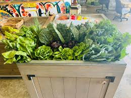 miami farmers markets, miamicurated