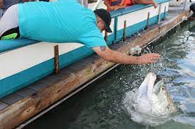 miami boat tours, miamicurated