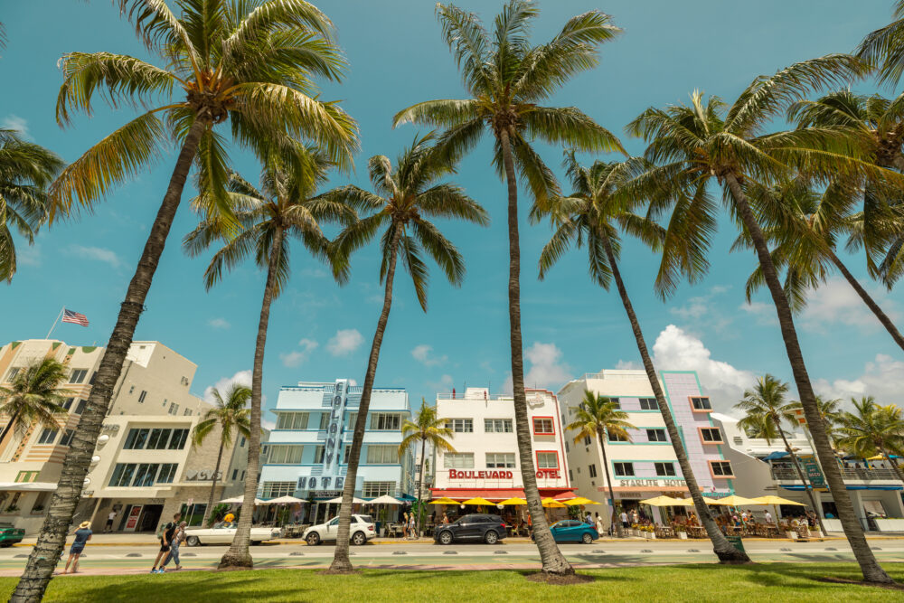 Things to do in Miami in January, miamicurated