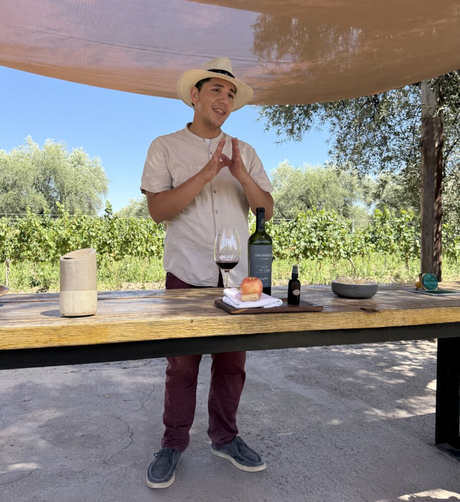 things to do in mendoza, miamicurated